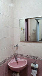Blk 254 Kebun Baru View (Ang Mo Kio), HDB 4 Rooms #583454631